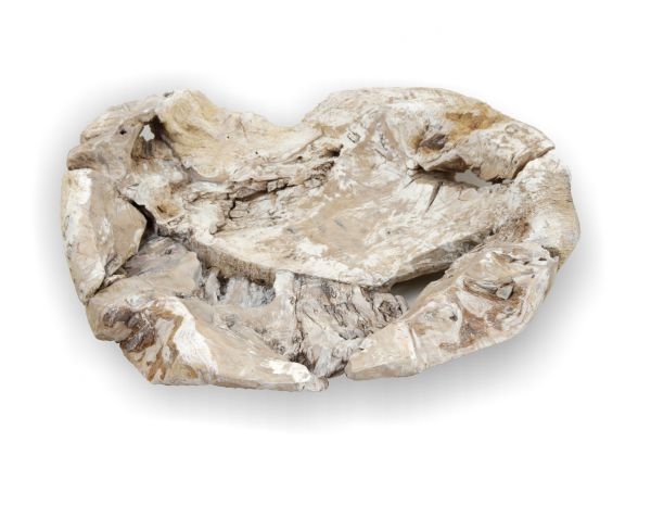 Wurzelholz Schale Rustika länglich in Stonewashed ( ca. 40cm )