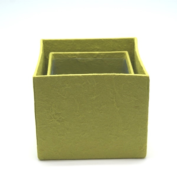 Blumen Boxx 2er Set in Silbergrün mit Folie innen [10x10x12cm / 8x8x10cm]