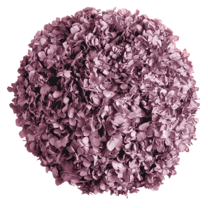 Moosball mit Hortensien Lavendel ca. Ø 50 cm