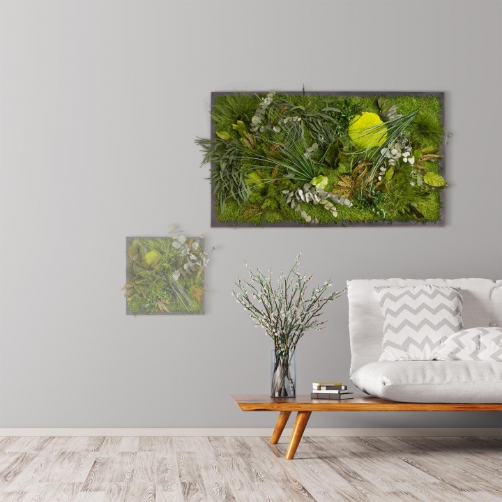 Moosbild ´Dschungel´ 100 x 60 cm auf Holzfaserplatte anthrazit