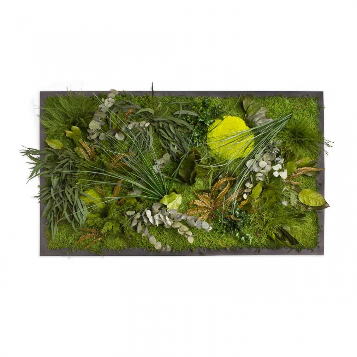 Moosbild ´Dschungel´ 100 x 60 cm auf Holzfaserplatte anthrazit