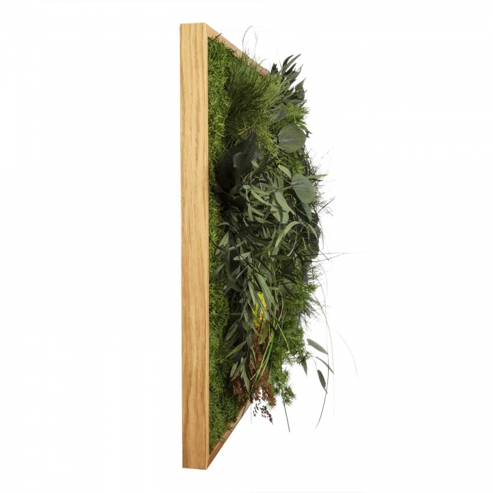 Moosbild ´Dschungel´ 100 x 60 cm mit Rahmen aus geölter Eiche
