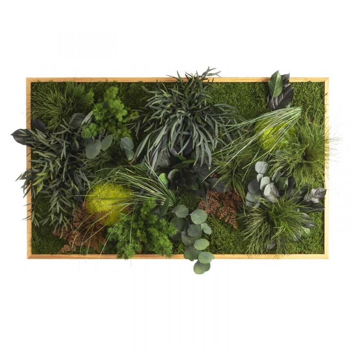 Moosbild ´Dschungel´ 100 x 60 cm mit Rahmen aus geölter Eiche