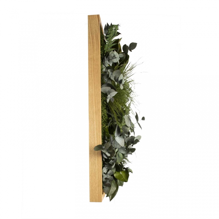 Moosbild ´Dschungel´ 55 x 55 cm mit Rahmen aus geölter Eiche