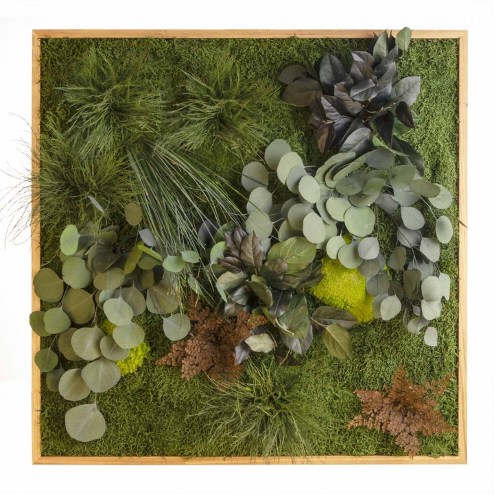 Moosbild ´Dschungel´ 80 x 80 cm mit Rahmen aus geölter Eiche