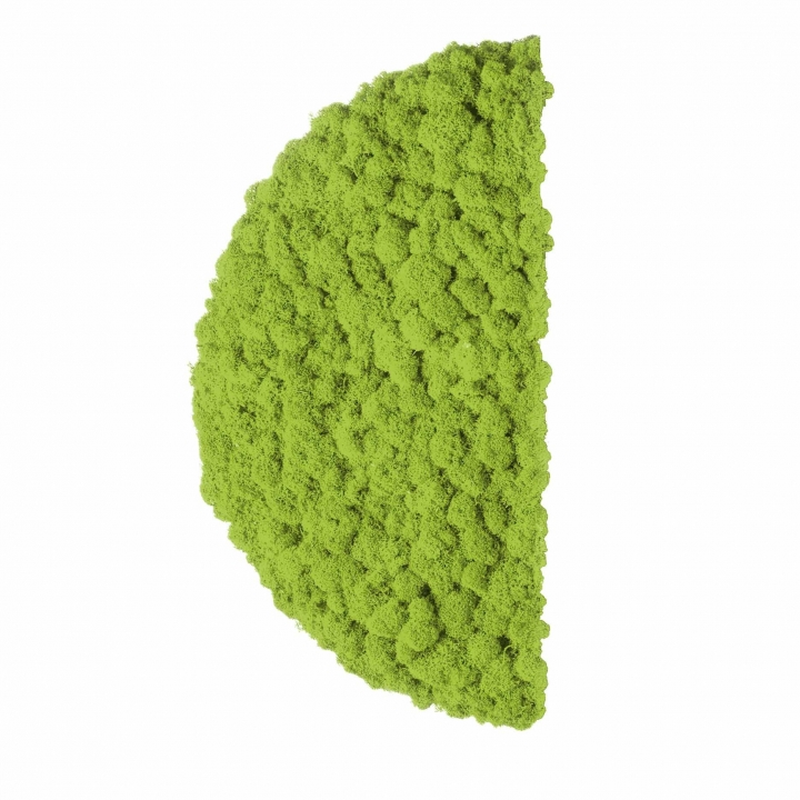 Moos ´Half Moon´ Islandmoos Apfelgrün Ø 40 cm randbemoost