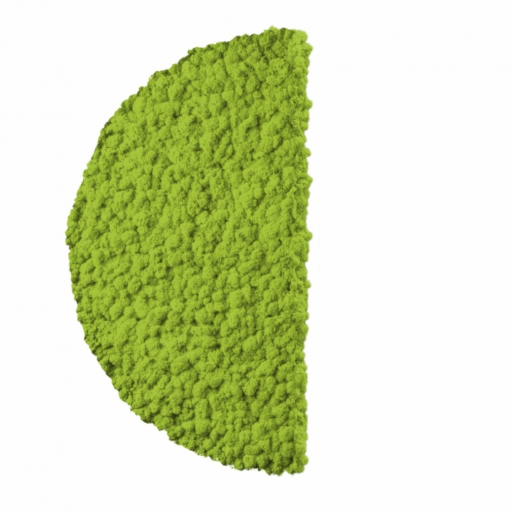 Moos ´Half Moon´ Islandmoos Apfelgrün Ø 60 cm randbemoost