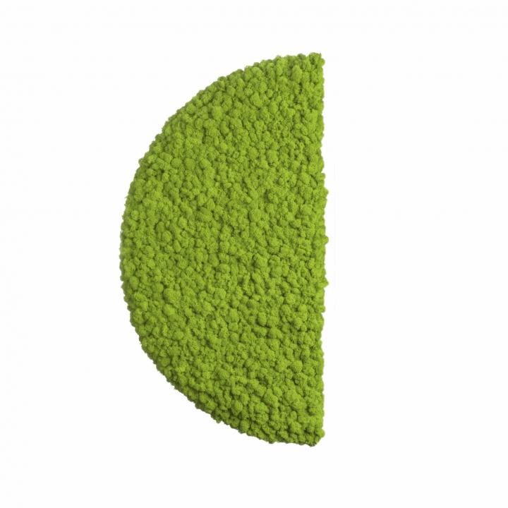 Moos ´Half Moon´ Islandmoos Apfelgrün Ø 78 cm randbemoost
