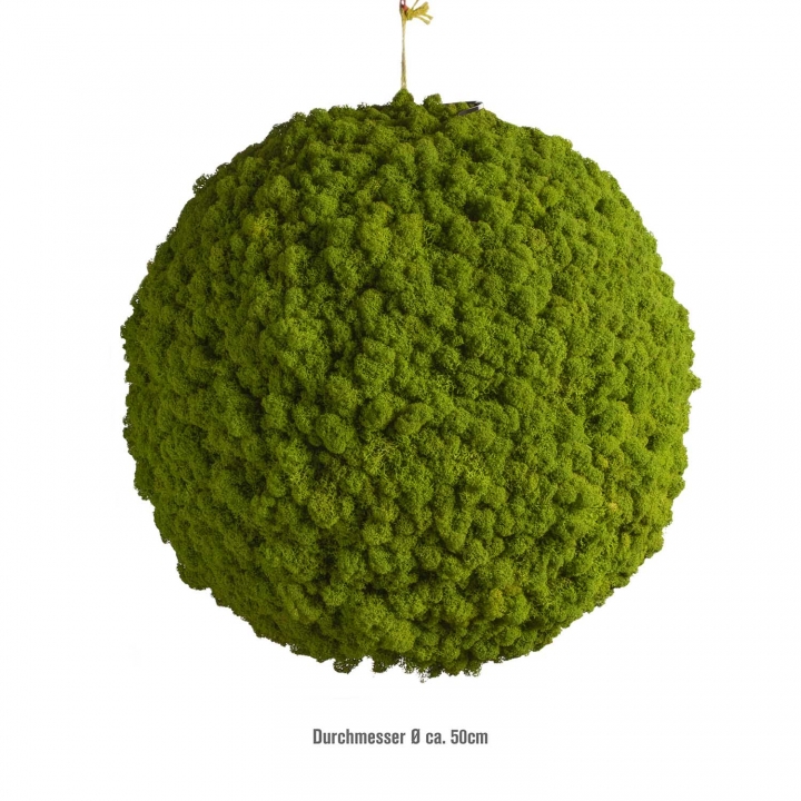 Moos Ball aus Islandmoos in Apfelgrün / Hellgrün Ø ca. 58cm