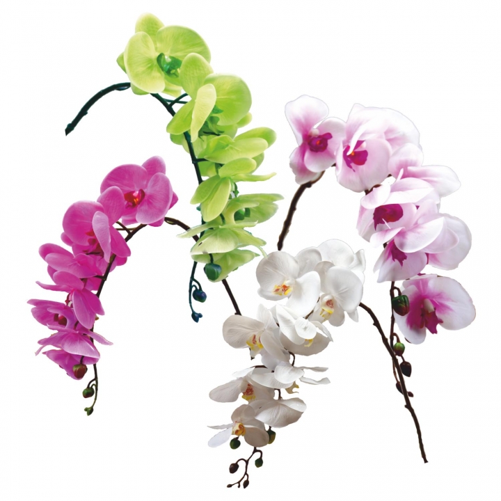 Sortiment Orchideen Zweig gummiert im 4fach Farbmix ( ca. 65cm )