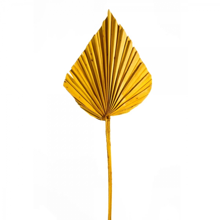 Palm Spear in Gelb ( 50 Stück )