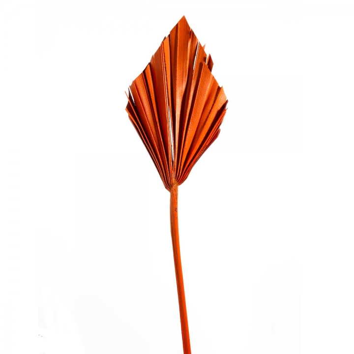 Palm Spear Mini in Orange ( 100 Stück )