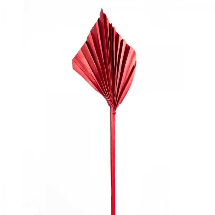 Palm Spear Mini in Rot ( 100 Stück )
