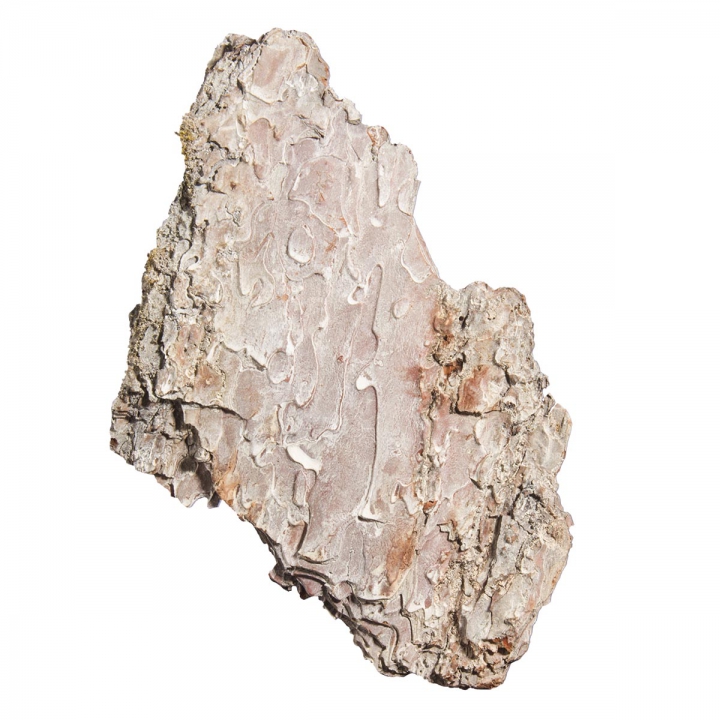 Pinienrinde in Stonewashed Optik [Gr. 9x18 – 20x40cm] im Großkarton