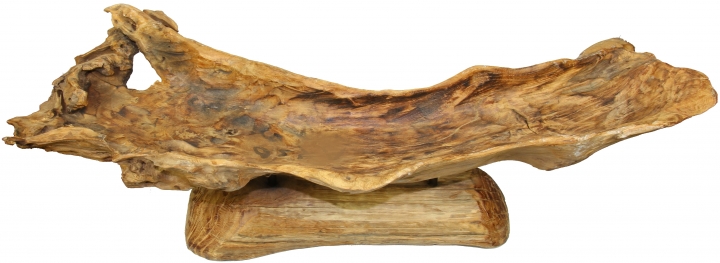 Wurzelholz Schale mit Ständer ca. 60cm lang in Natur  
