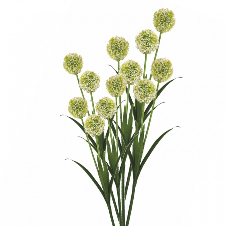 Allium / Zierlauch mit Stiel in Weiß ( Kopfgröße ca. 10cm )