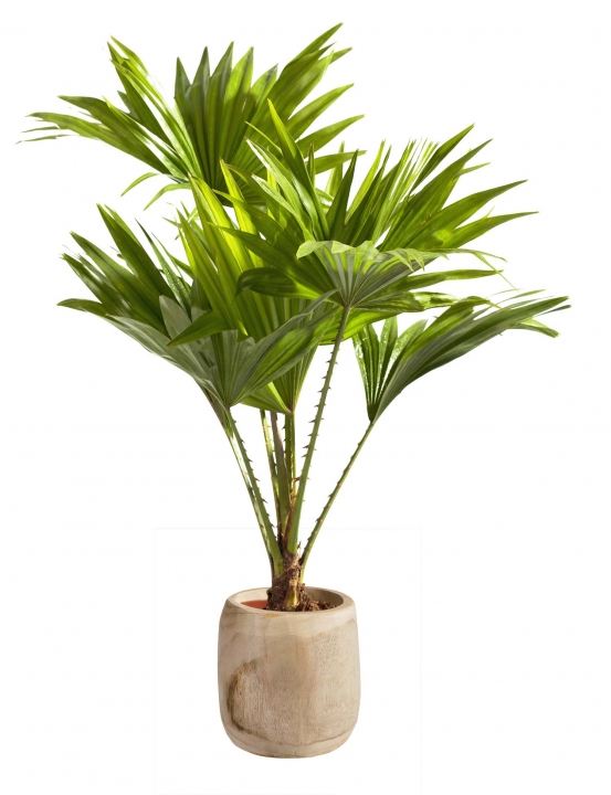 Pflanzentopf aus Paulowina Holz [ ca. Ø 15,5cm H 18cm ] in Naturhell mit Folie
