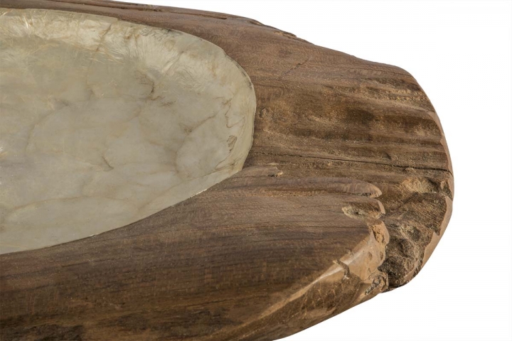 Wurzelholz Schale mit Muscheln innen ca. 35-40cm in Natur  
