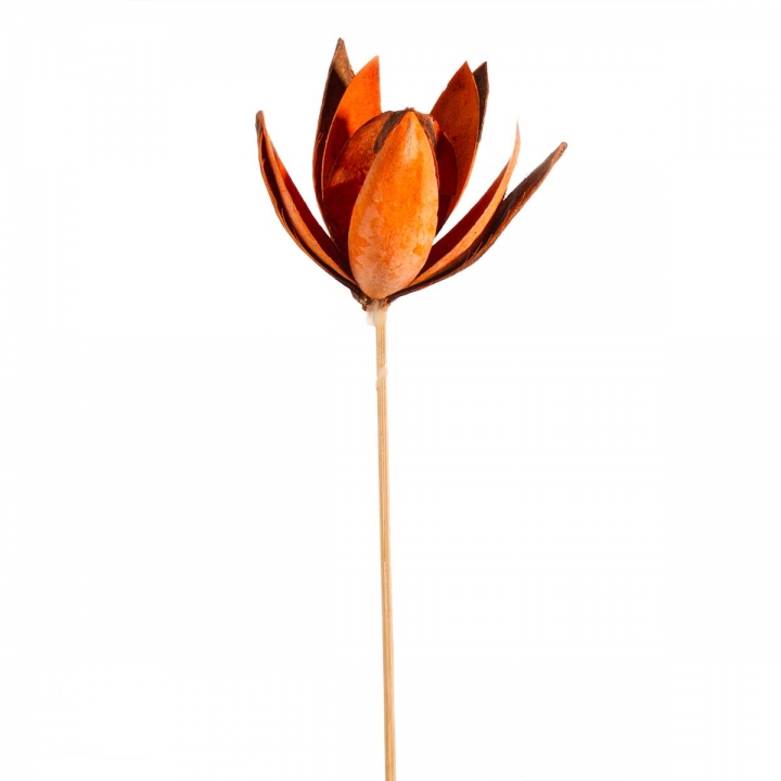 Wildlilie am Stiel in Orange ( 50 Stück )