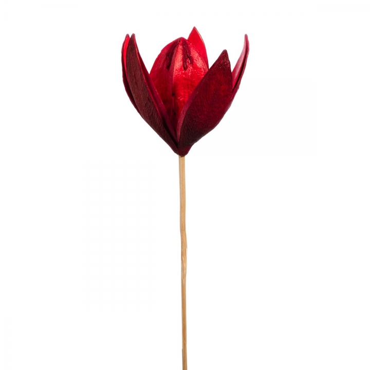 Wildlilie am Stiel in Rot ( 50 Stück )