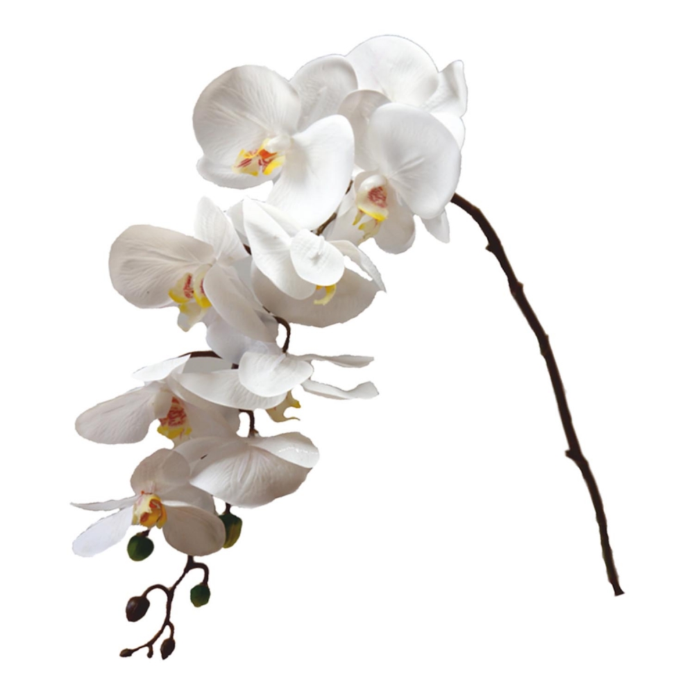 33538-53 Kunstblume PHALENOPSIS Orchideenzweig 78 cm Orchidee in GRÜN
