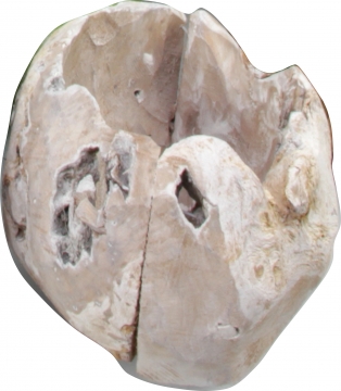 Wurzelholz Topf in Stonewashed ( ca. Ø 20cm )