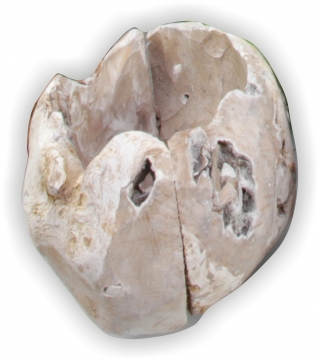Wurzelholz Topf in Stonewashed ( ca. Ø 25cm )