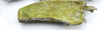 Wurzelholz Schale lang ca. 60cm frosted grün