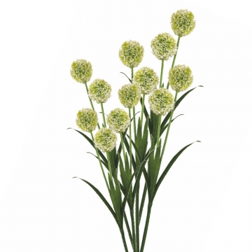 Allium / Zierlauch mit Stiel in Weiß ( Kopfgröße ca. 10cm ) (12 Stück)
