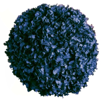 Moosball mit Hortensien Blau/Bordeaux ca. Ø 50 cm