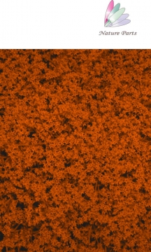 Statice Orange ( 250g )