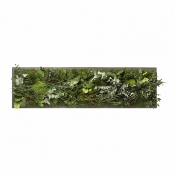 Moosbild ´Dschungel´ 140 x 40 cm auf Holzfaserplatte anthrazit