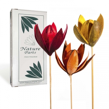 Sortiment Wildlilie am Stiel 3fach Farbmix ( 50 Stück )
