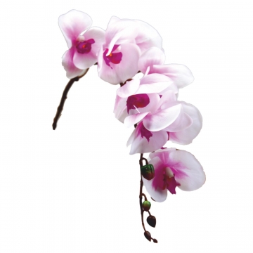 Orchideen Zweig gummiert in weiß / lila ( ca. 65cm ) (12 Stück)