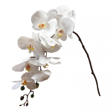Orchideen Zweig gummiert in weiß ( ca. 65cm ) (12 Stück)