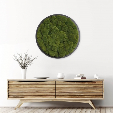 Moosbild ´Rund´ Kugelmoos Dunkelgrün Ø 70cm auf Holzfaserplatte anthrazit