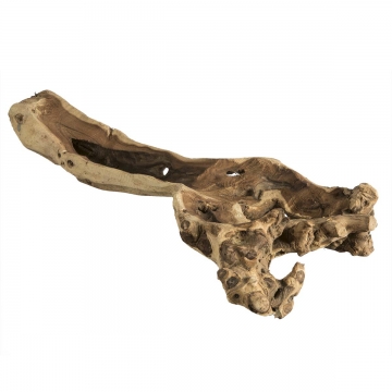 Wurzelholz Knochenschale Dekoschale in Stonewashed  