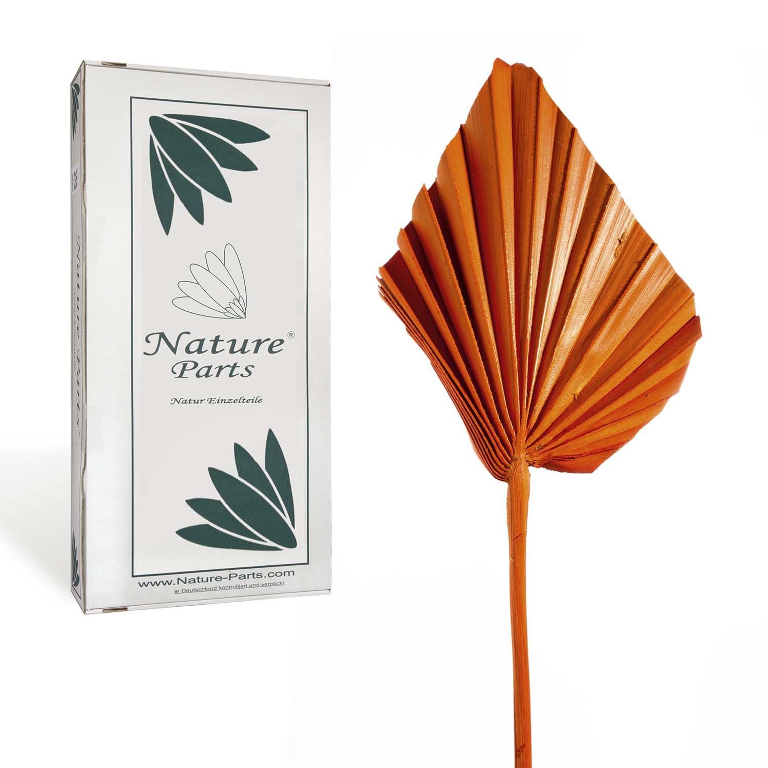 Palm Spear - Medium - Orange (50 Stück)