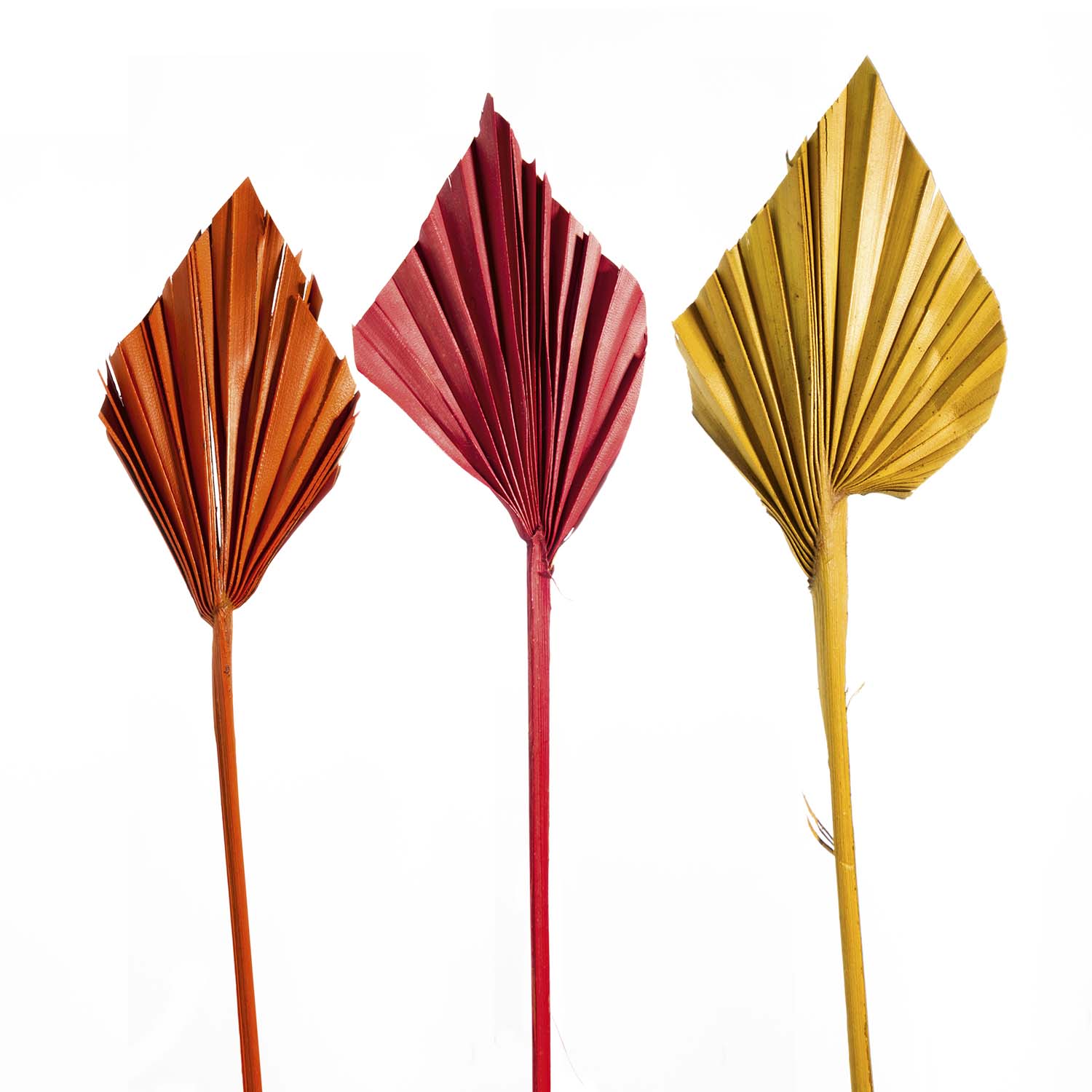 Palm Spear Mini - 3fach Farbmix  