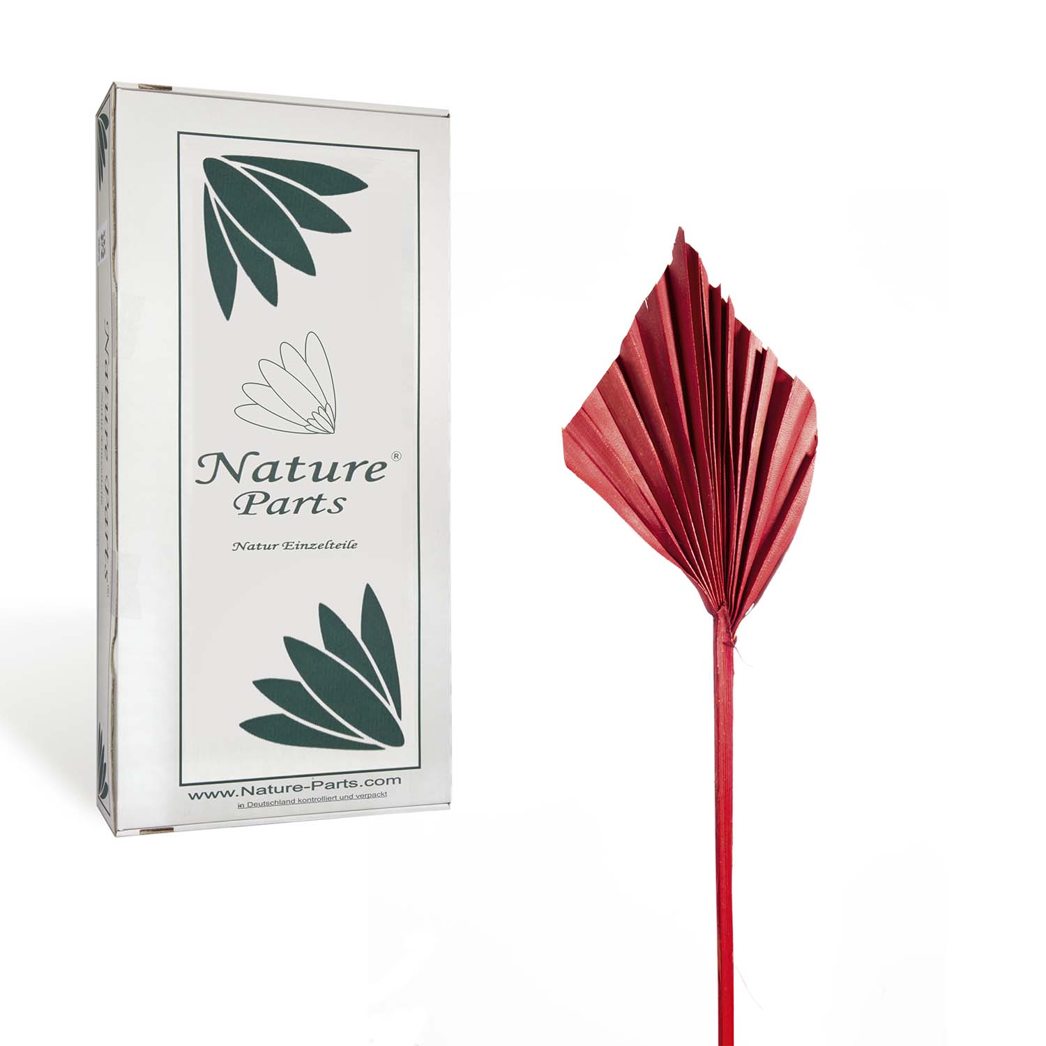 Palm Spear - Mini - Rot (100 Stück)
