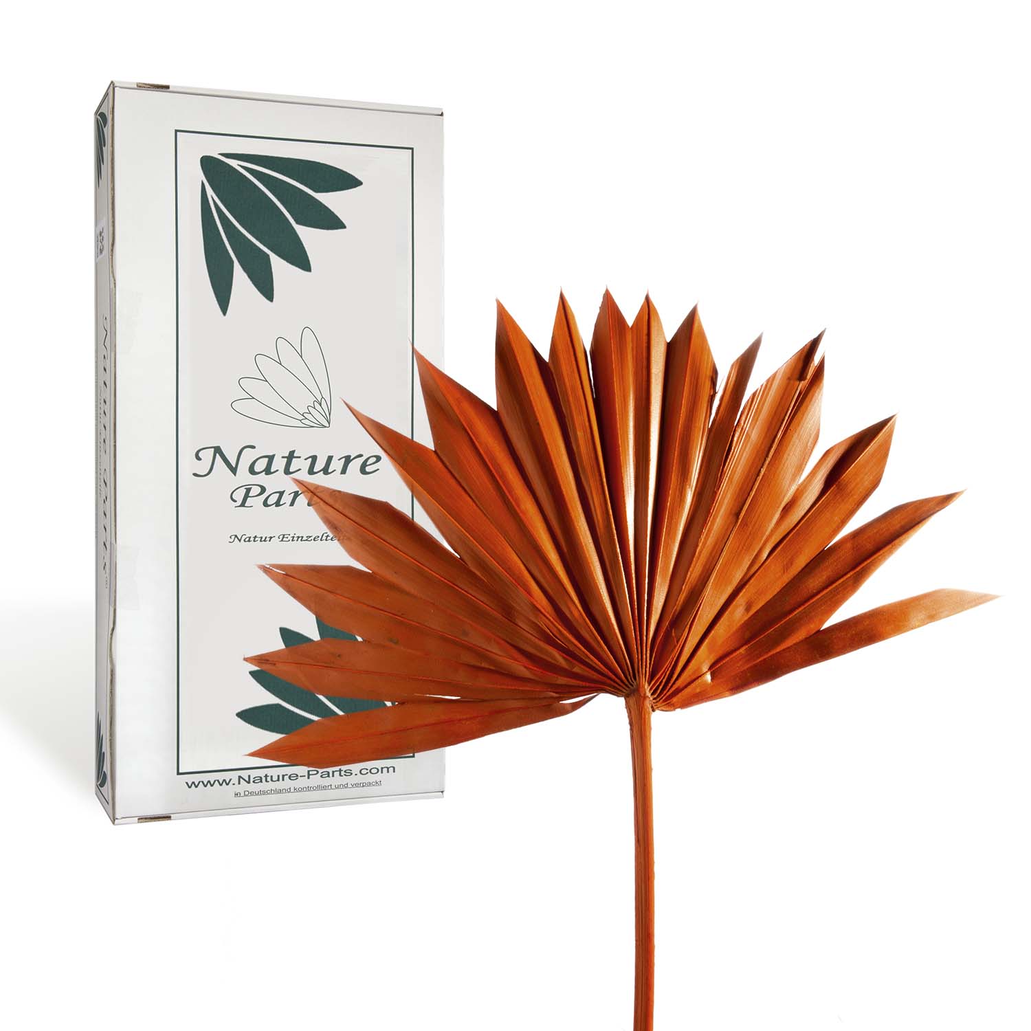 Sun Palm Cut - Orange (30 Stück)